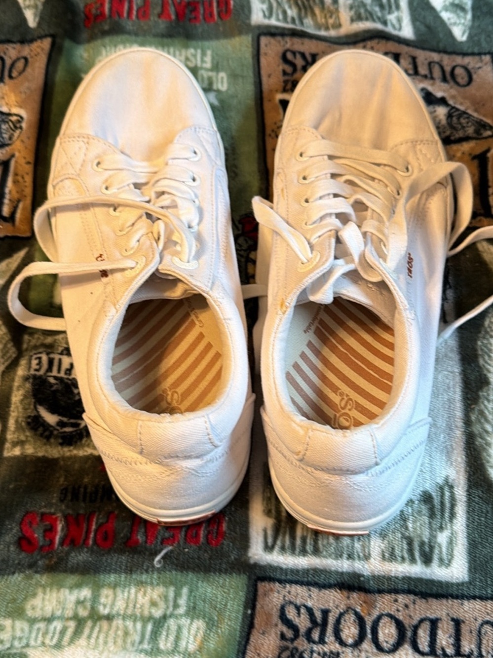 Taos Footwear White Low-Top Canvas Sneakers